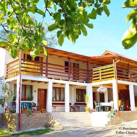 Pensiunea Valea Cernei Teliucu Inferior Εξωτερικό φωτογραφία